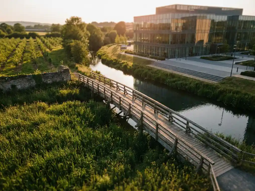 Hölzerne Fußgängerbrücke verbindet grüne Wiese mit modernem Bürogebäude im goldenen Abendlicht, Luftperspektive.